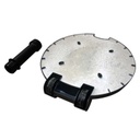 Pied parasol