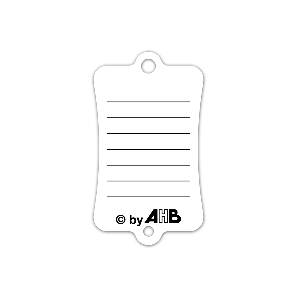 Étiquettes de clés "Key Label 300" x 100