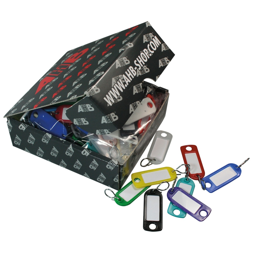 Colorline sleutelhangers x100