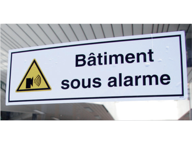 Adhesif Vitrine Bat Sous Alarme 300 X 110 Mm