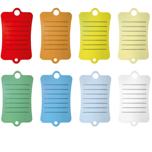 Étiquettes de clés "Key Label 300" x 100