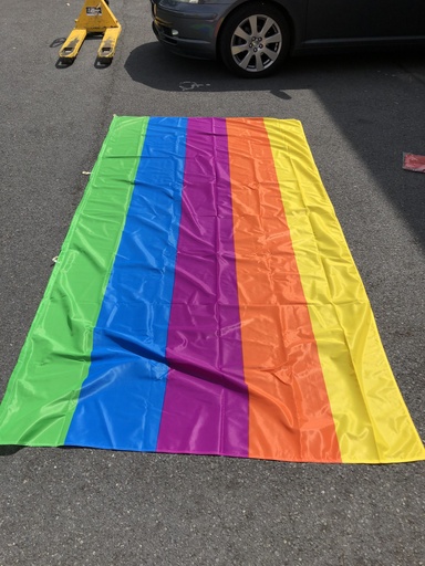 [125090020] Vlag Regenboog 300 X 120cm